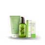Innisfree Green Tea Bundle
